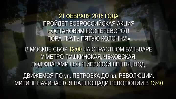 Остановим госпереворот! Пора гнать пятую колонну! 21 февраля 2015 го ...