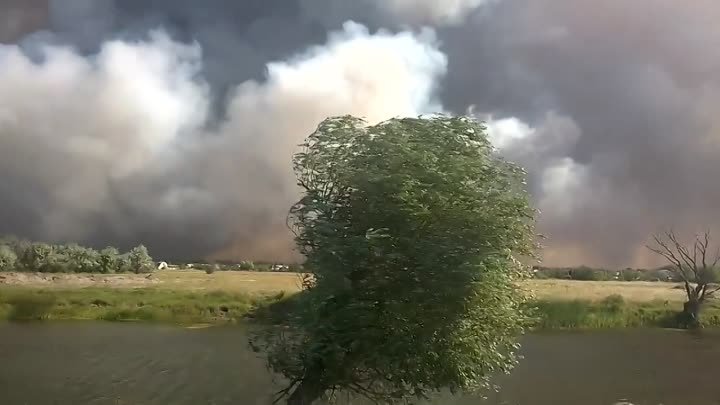 Опять горит Цюрупинский лес (пожар или поджог)