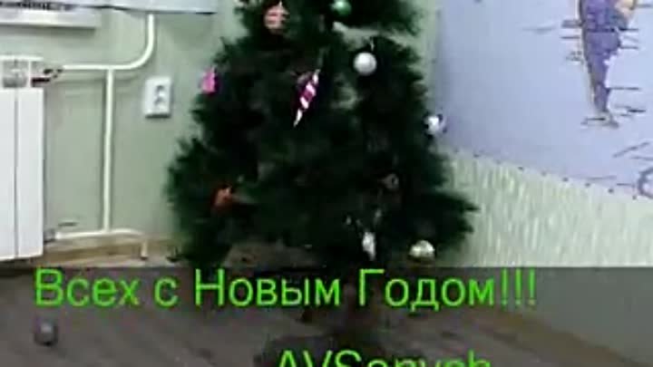 Кот и Новогодняя елка! Смех, да и только!))