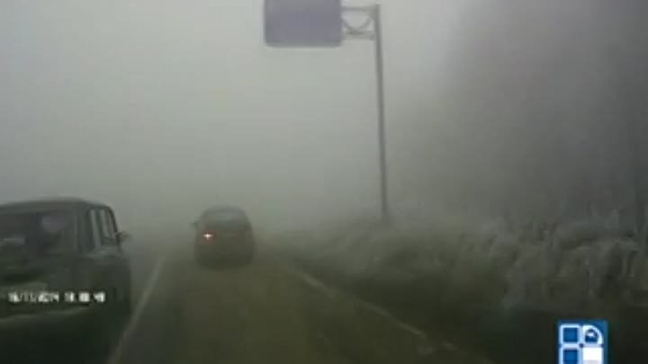 Ёжики в тумане