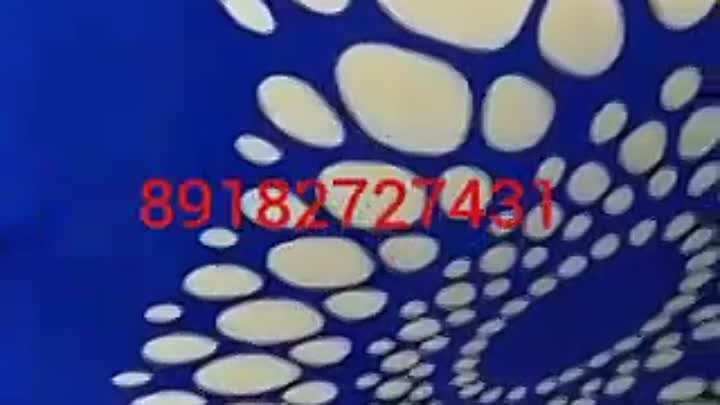 Video.Guru_20190315_173935979.mp4
