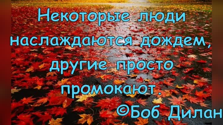 #НаталияКамнева читает стихотворение #ИриныСамариной-Лабиринт Дождли ...