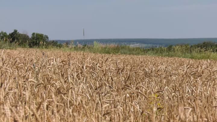 Мегамикс - Земля в иллюминаторе