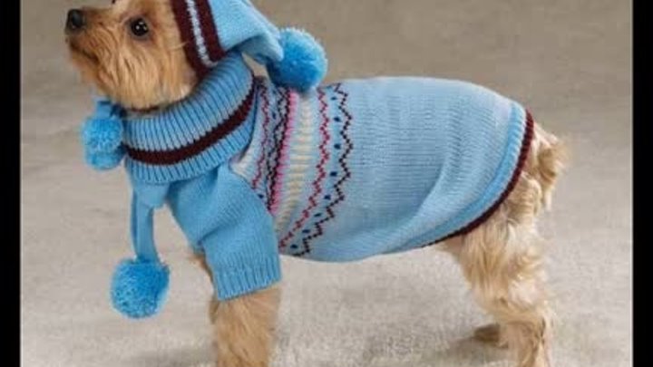 Зимние костюмы и комбинезоны  для собак с выкройками
