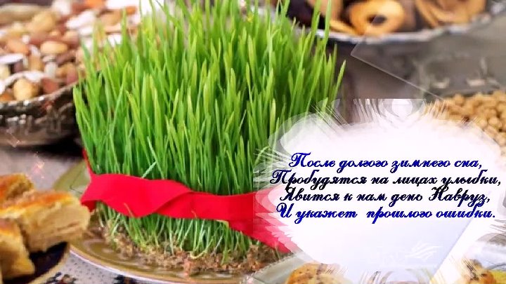 Поздравление с наврузом на узбекском языке. С праздником Навруз. Новруз байрам открытки. Поздравляю с праздником Навруз на узбекском языке. С праздником Новруз байрам открытки.