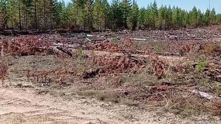 Вело-поход, Новый Уоян - Умхей , запись с телефона