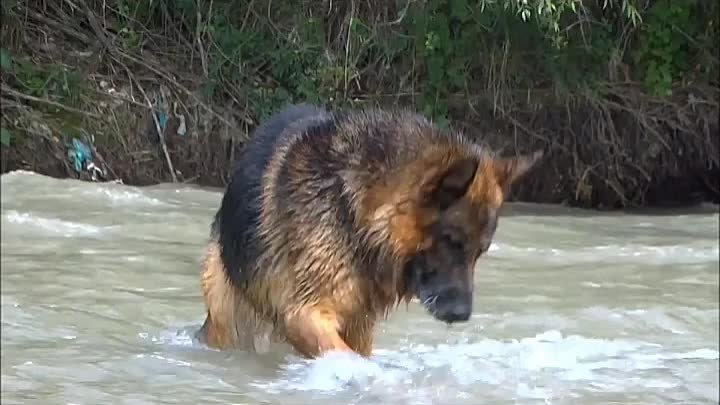 13 июля 2020 г..mp4