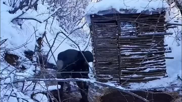 Вот оно, доступное жилье!