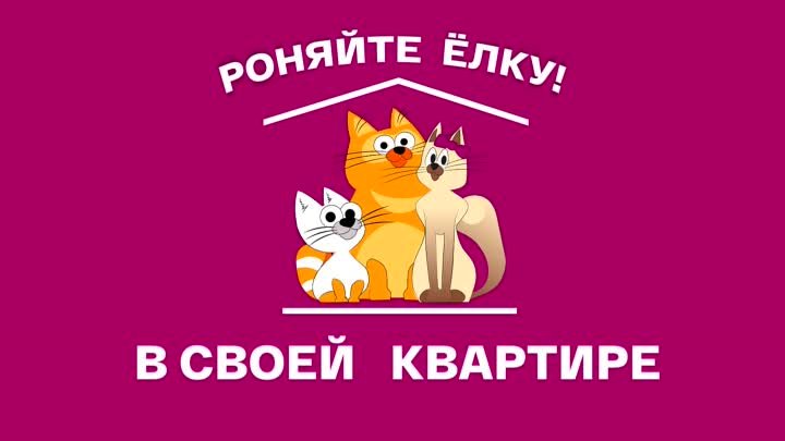 Ипотека от Клюквы. Роняйте ёлку в своей квартире!