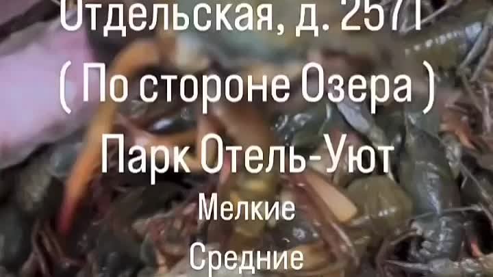 Видео