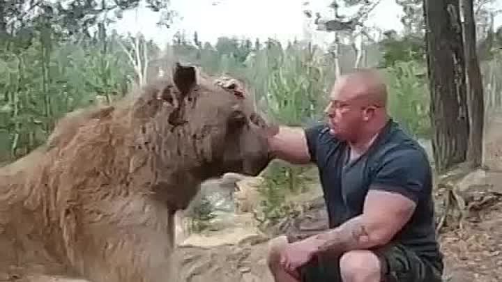 Мужик и медведь