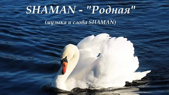 SHAMAN - "Родная". Новая версия