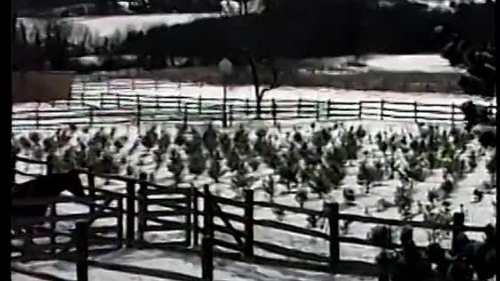 Taylor Swift - Christmas Tree Farm