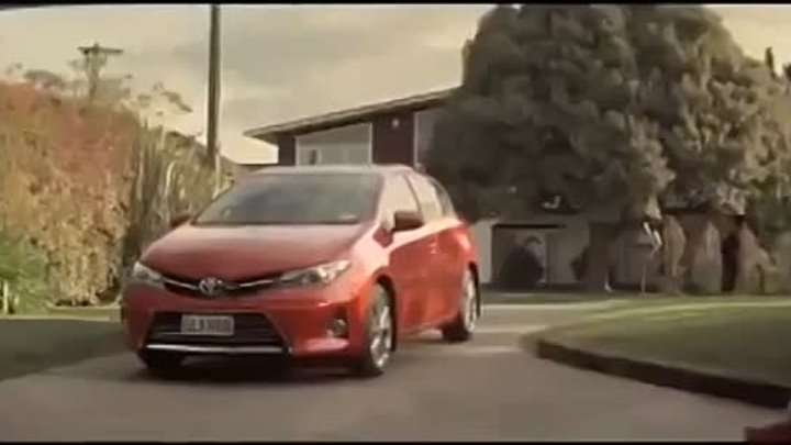 Новая реклама Toyota Corolla - довольный рыжий персидский кот в машине!