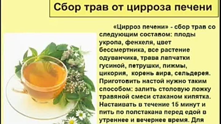 Настойка желчного пузыря. Народные средства от цейрозп. Народные средства при циррозе. Народные средства прицирро. Народные средства травы.