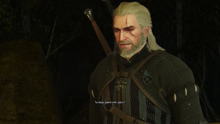 The Witcher 3  серия 15   no comment