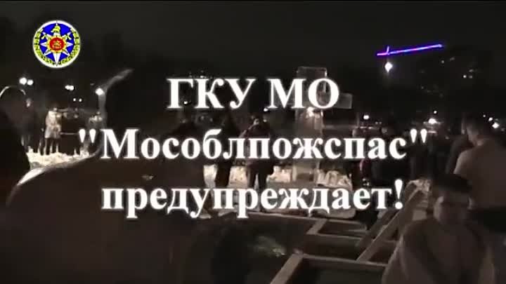 Video by Alexander Mitin (16)