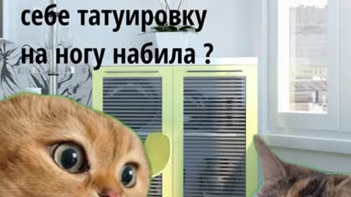 Избавляем от варикоза, чтобы все были счастливы!