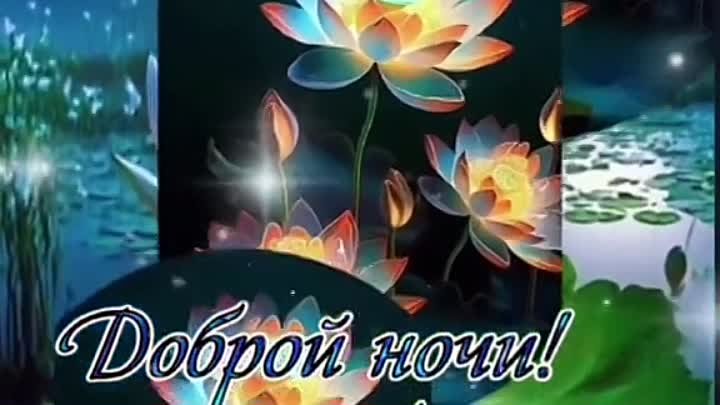 Доброй ночи!