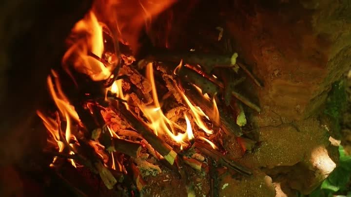 BEST NAPOLI PIZZA - OVEN CARVED IN STONE, FOREST