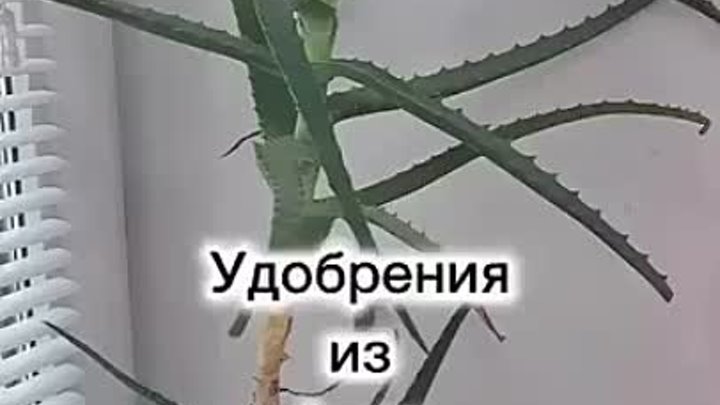 Удобрение 