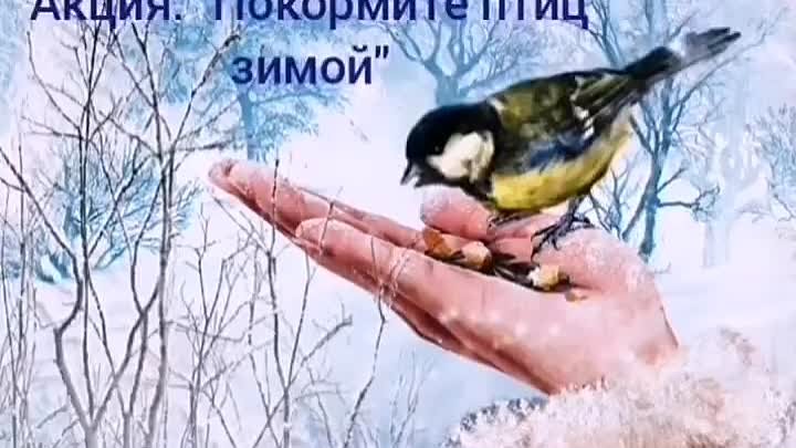 Акция:Покормите птиц зимой.