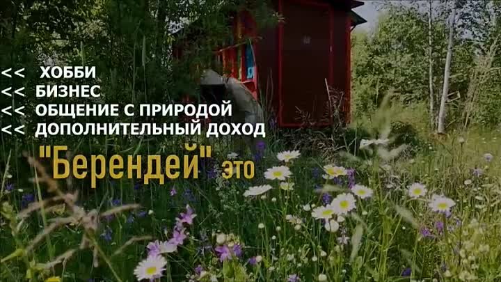 Мой фильм.mp4