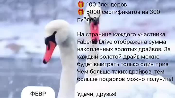 Розыгрыш Драйв