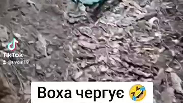 Издевательства ВСУ над солнечным человеком.mp4