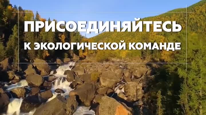 День экологии на выставке "Россия".
