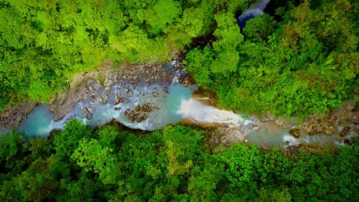 Красота Amazon Rain Forest 8k