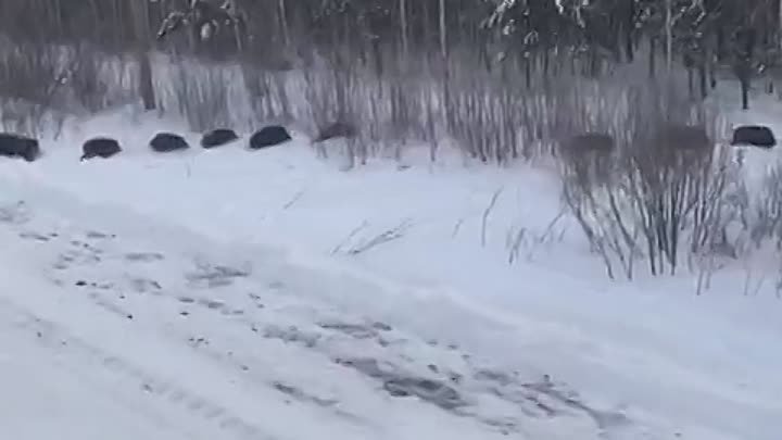 Видео от Боевое слово. Белозерская районная газета (1)