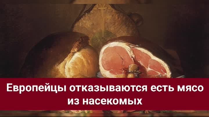 Европейцы отказываются есть мясо из насекомых