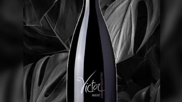 Victor Pinot Rose Brut