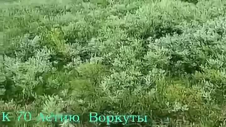 С ДНЕМ РОЖДЕНИЯ ВОРКУТА    !!!