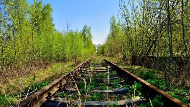 Стихотворение:" На склоне лет..." ст Людмила Никифоровна и ...