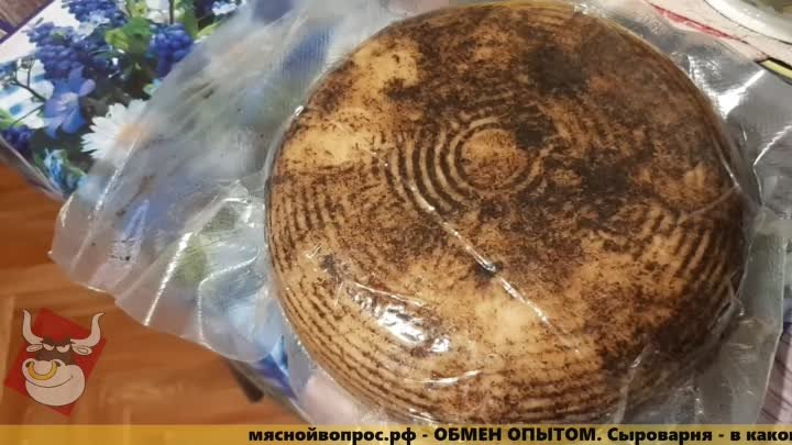 мяснойвопрос.рф - ОБМЕН ОПЫТОМ. Сыроварня - в каком случае не покупать?