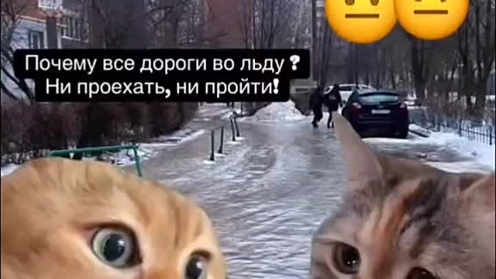 Ждём.mp4