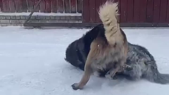 Женевьева уже год дома!