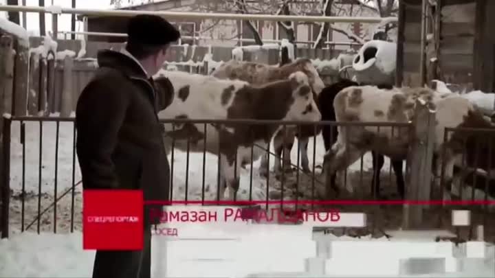 Самодельная техника кулибина из Волгоградской области