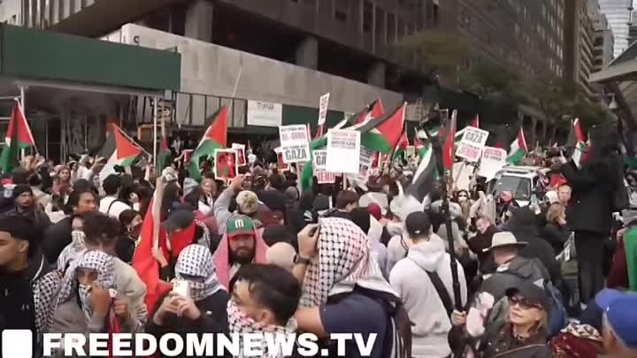 Мусульмане Палестины перед зд.ООН подняли красное знамя Победы