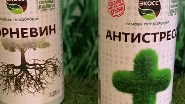 Удобрения для цветочных