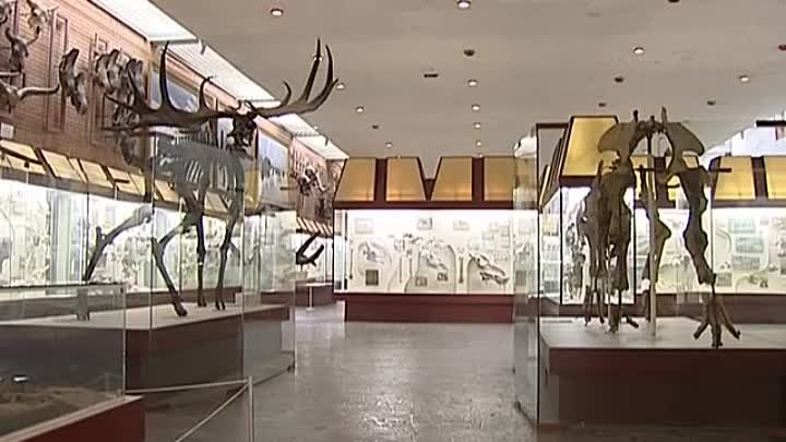 50.chudes.Moskvy.(09.1-Paleontologicheskij.muzej).