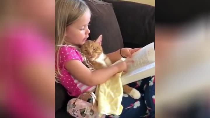 Девочка прочитала сказку засыпающему коту и умилила соцсети