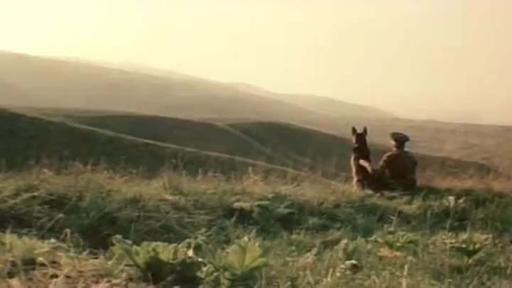 Пограничный пёс Алый (1980 год)