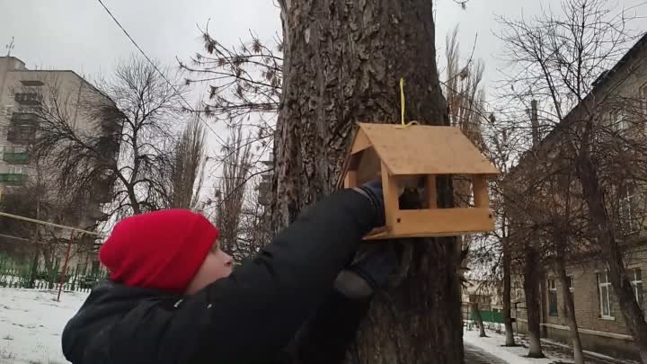 Акция "Покорми птиц зимой"