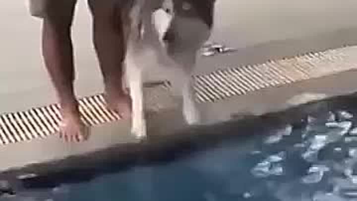 Когда не хочешь купаться