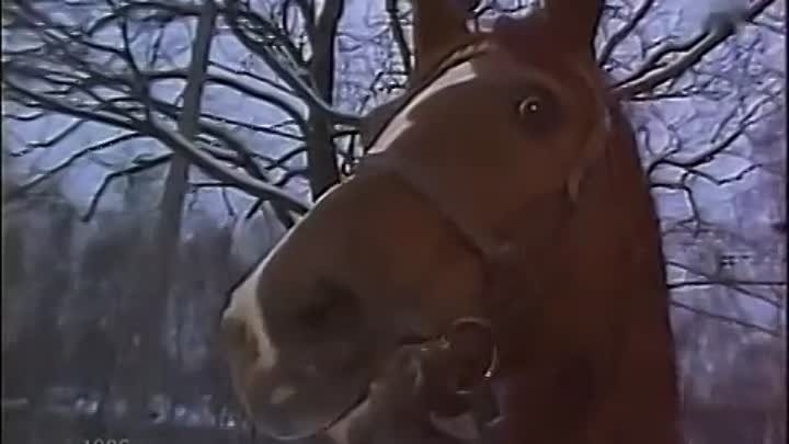 Михаил Боярский - Рыжий конь