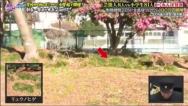 新しいカギ 240113 動画 小学校かくれんぼにガチャピン参戦 | 2024年1月13日