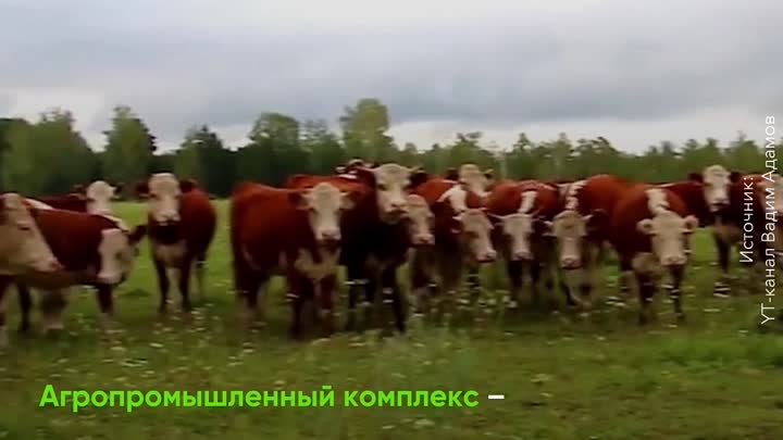 На выставке “Россия” пройдет День сельского хозяйства